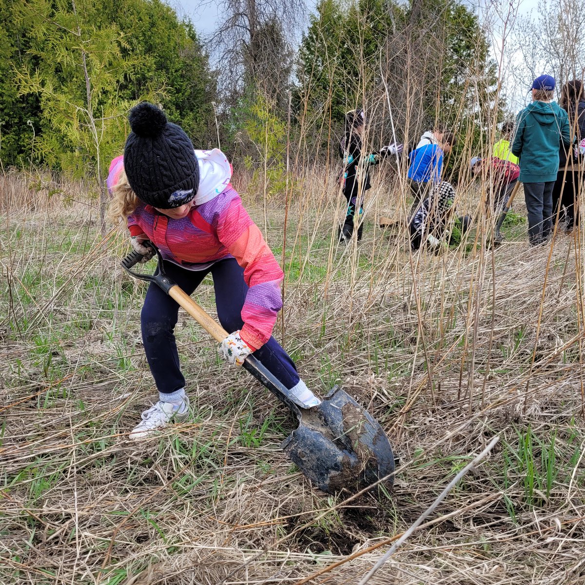 Mr. Dollin AKA Chuck tweet media