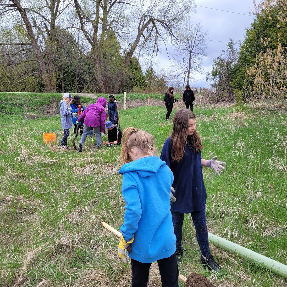 Mr. Dollin AKA Chuck tweet media