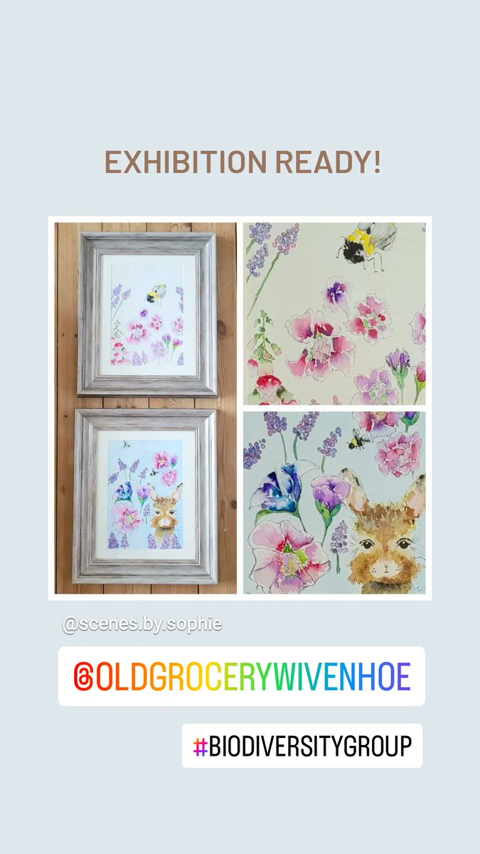 Exhibition ready for 20-21st May 
At the Old Grocery in Wivenhoe. 
Part of the Biodiversity Group.
Available to buy.
#Wivenhoe
#visitessex
#artforsale
#essexartist