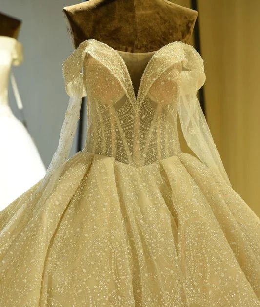 Bridelily Long Sleeve Lace-up Tulle Ball Gown Wedding Dress dlvr.it/SnQx58