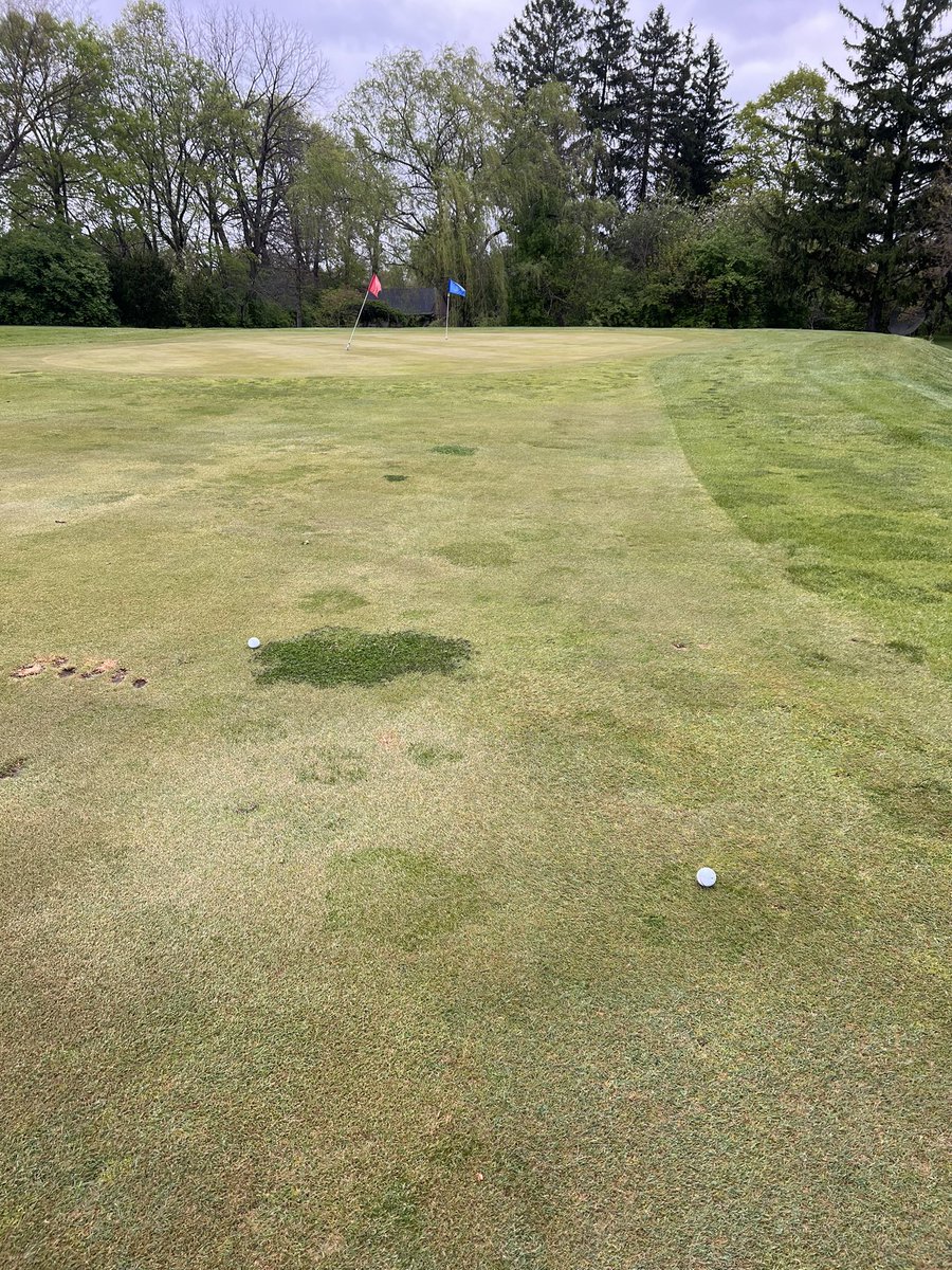 Bronson Marlett tweet media