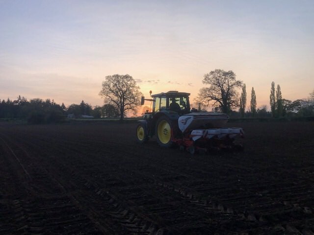 Lyburn Cheese (@lyburncheese) on Twitter photo At long last it is dry enough and warm enough to start drilling maize, lovely evening tonight #lyburnfarm <a href="/HampshireFare/">Hampshire Fare</a> @HantsFarmersMkt <a href="/NewForestMarque/">New Forest Marque</a> At long last it is dry enough and warm enough to start drilling maize, lovely evening tonight #lyburnfarm <a href="/HampshireFare/">Hampshire Fare</a> @HantsFarmersMkt <a href="/NewForestMarque/">New Forest Marque</a>