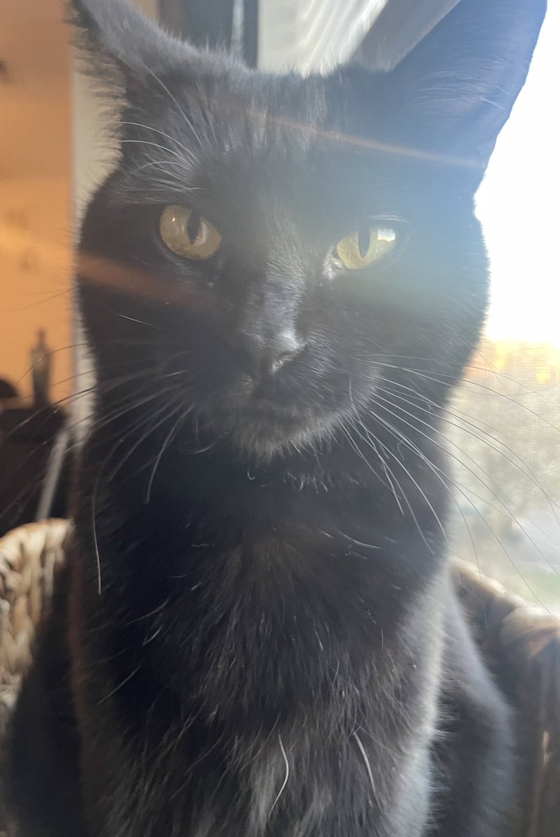 when your stoned out of your mind at the dispensary