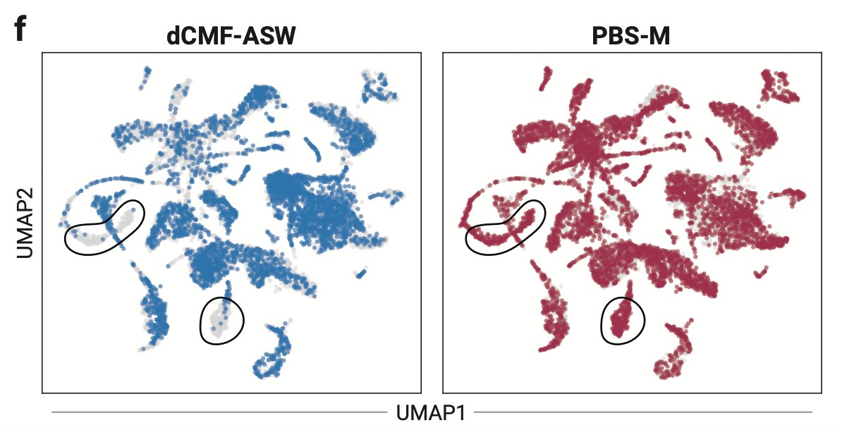 Allon Klein Lab tweet media