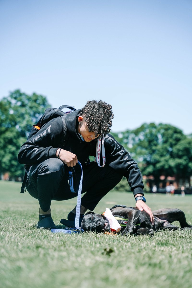 Clemson Football tweet media