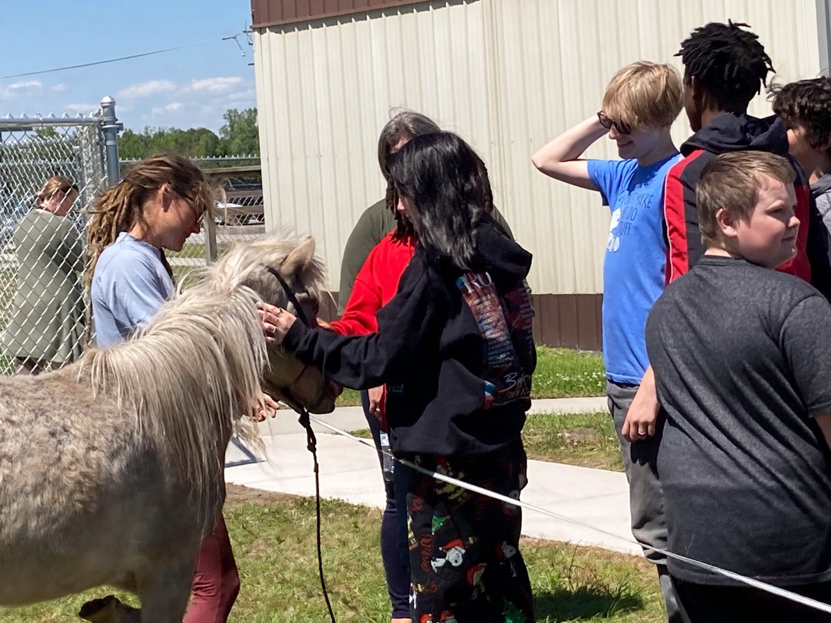 penderschools's tweet photo. Otters, horses, and more! - "I Am Herd" brought horses and other animals to @pila_otters on Tuesday - the organization allows students to enjoy an up-close and personal, peaceful visit with the animals. #iamherd #PCSPride https://t.co/TBs9FQi9e8