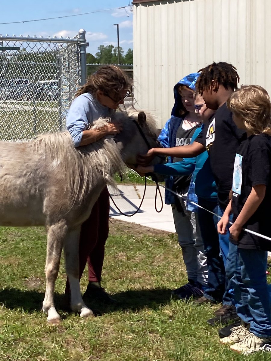 penderschools's tweet photo. Otters, horses, and more! - "I Am Herd" brought horses and other animals to @pila_otters on Tuesday - the organization allows students to enjoy an up-close and personal, peaceful visit with the animals. #iamherd #PCSPride https://t.co/TBs9FQi9e8