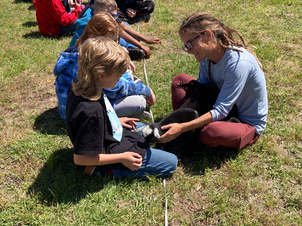 penderschools's tweet photo. Otters, horses, and more! - "I Am Herd" brought horses and other animals to @pila_otters on Tuesday - the organization allows students to enjoy an up-close and personal, peaceful visit with the animals. #iamherd #PCSPride https://t.co/TBs9FQi9e8