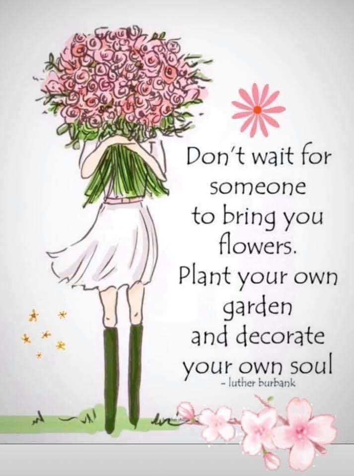 ourlight1's tweet photo. 🌸🌱 https://t.co/b8TqQ5j4j2