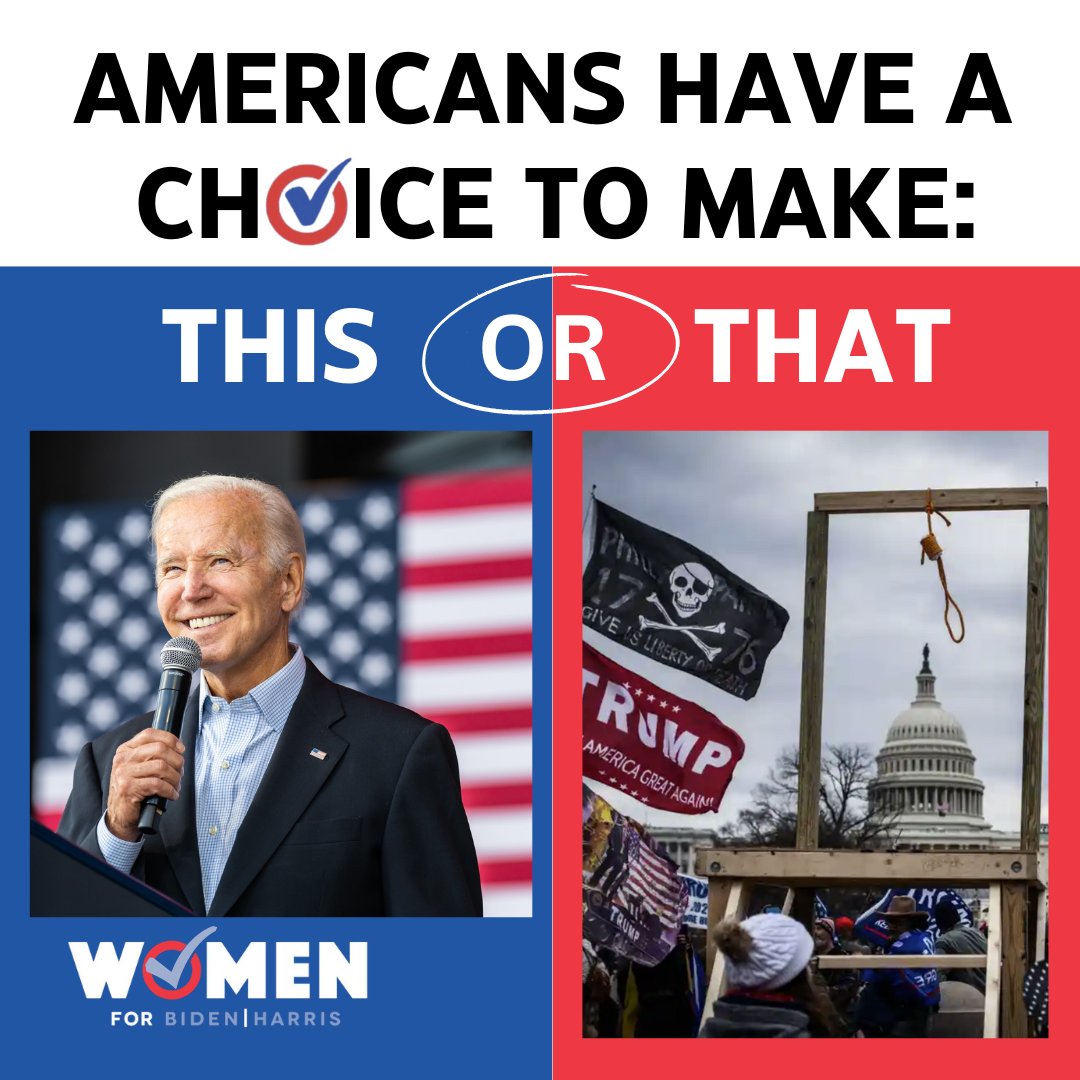 MARYLAND WOMEN FOR BIDEN HARRIS tweet media