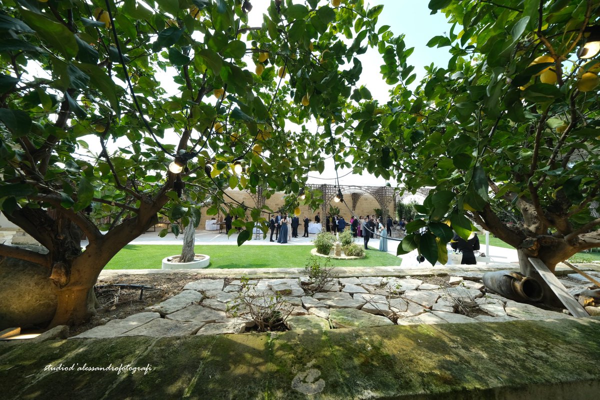 GiardinodelMago's tweet photo. Il segreto della felicità 

                ❤️ 

#giardinodelmago #matrimonio #salaricevimenti #sposi #wedding #locationmatrimoni #salaricevimenti #matrimoniocivile #matrimonioinpuglia #apuliawedding https://t.co/RyHtD54Pa8