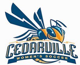 alyssa_griner's tweet photo. I am very blessed to announce that I have verbally committed to continue my athletic and academic career at Cedarville University! I would like to thank God, my family, friends, coaches and teammates for supporting me throughout this amazing journey. Go Yellow Jackets 💙💛 https://t.co/3KDt3vuTEW