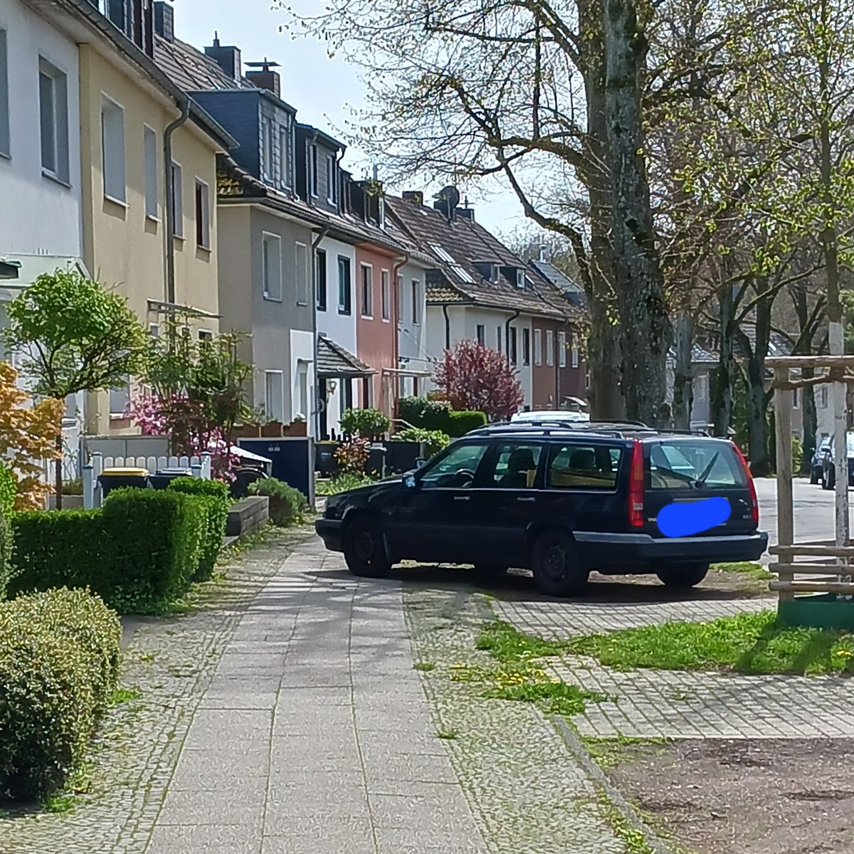 AndreEssen45's tweet photo. Parkterroristen genießen in @essen_ruhr ungehinderte  Freiheit. https://t.co/I0TzWg4dwn