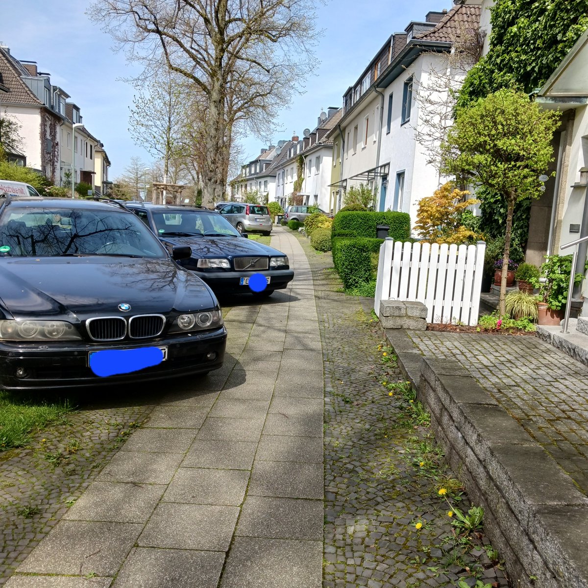 AndreEssen45's tweet photo. Parkterroristen genießen in @essen_ruhr ungehinderte  Freiheit. https://t.co/I0TzWg4dwn