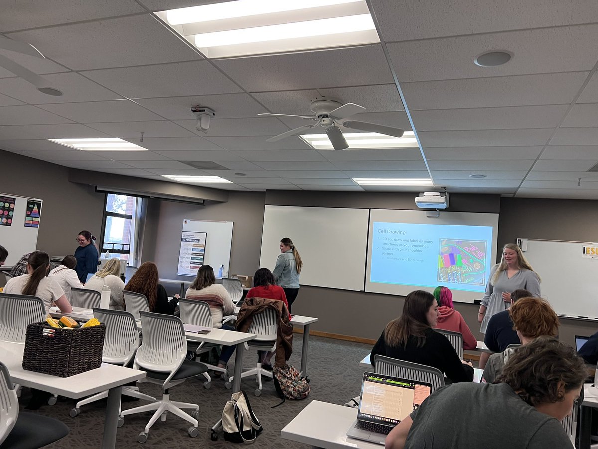 ESU Secondary Education tweet media