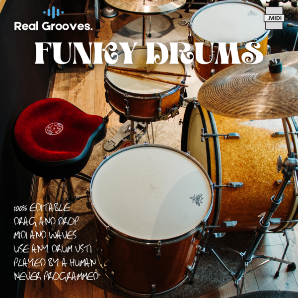 RGA_Audio's tweet photo. The Funky Drums pack is great for Hip Hop, OG Soul, Sly and East Bay Grease Tower of Power type tracks. 10% off with “117”PUV5” code
https://t.co/i4Guz3oFW1
#studiotools #midibeats #funkbeats #groovepacks #musicians #homestudio #vst #drums #Midi #realfeel #synched #royaltyfree https://t.co/dAXhqG1yoI