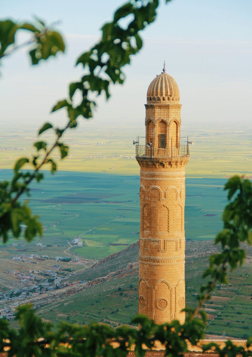 Baharın en güzel rengine bürünmüş bir şehir.
📍Mardin
Mayıs, 2023.