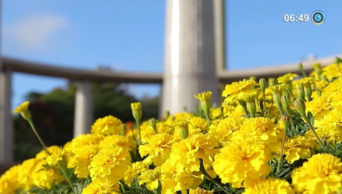 GuiomarMarize's tweet photo. Encoraja-nos, Meishu-Sama, e concede-nos forças para enfrentarmos as adversidades que desafiam e abalam nosso mundo !!!... Que nada abale a nossa Fé e confiança nos propósitos Divinos !!!... Assim Seja !!!... BOA NOITE... Paz e Amor em todos os Corações !!!
#vamosorar
#comfe https://t.co/J3YpYLpl8p