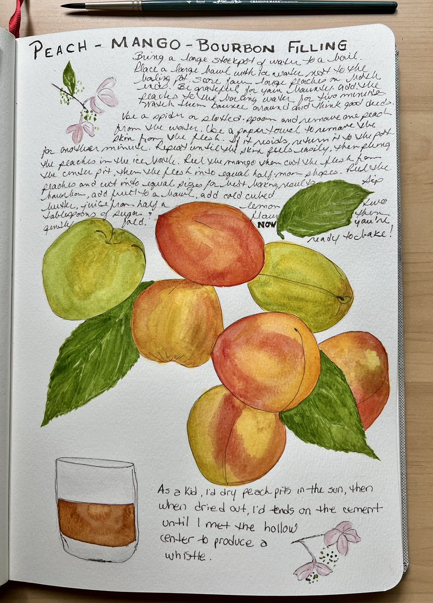 Strategy to break up difficult writing. Only write/revise the hard stuff for short periods (20 mins.) then do something creative. Thanks, @brooke_warner @shewritespress and @namw, for the writing tip. #writingcommunity 

Peach-Mango-Bourbon Filling for Galette, ink & wash