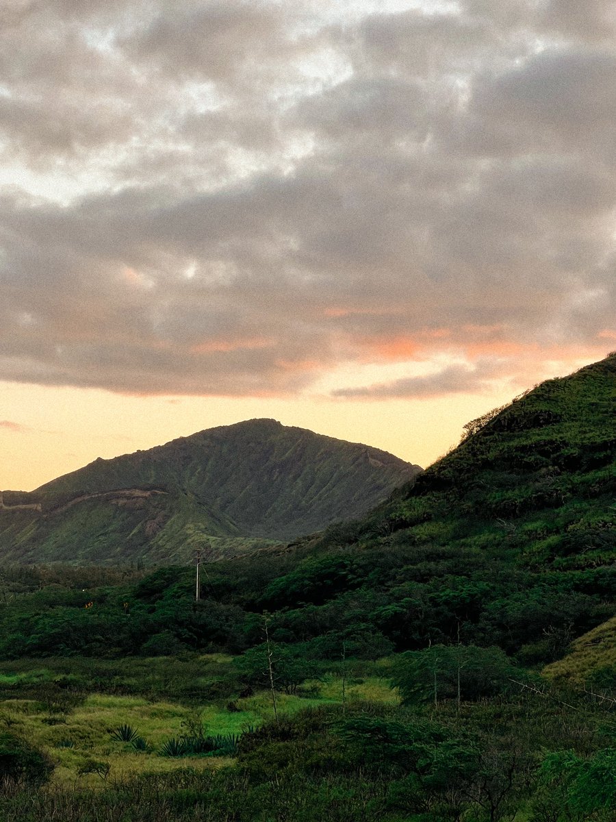 LeceJanae's tweet photo. I totally fell for Hawaii https://t.co/3SCjNpHXi0