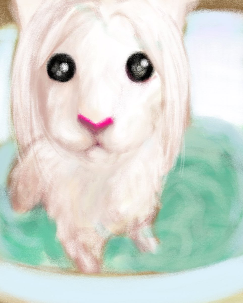 SoyDeans on Twitter "boy why you so soggy 💔Rcse_bud"