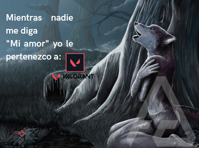 GamingAbsolute_'s tweet photo. En Absolute Gaming no nos dicen "mi amor". :c
¿Premio o castigo?
#valorant #Absolutegaming #RiotGames #lobos #FPS https://t.co/o1IEU9Pdli
