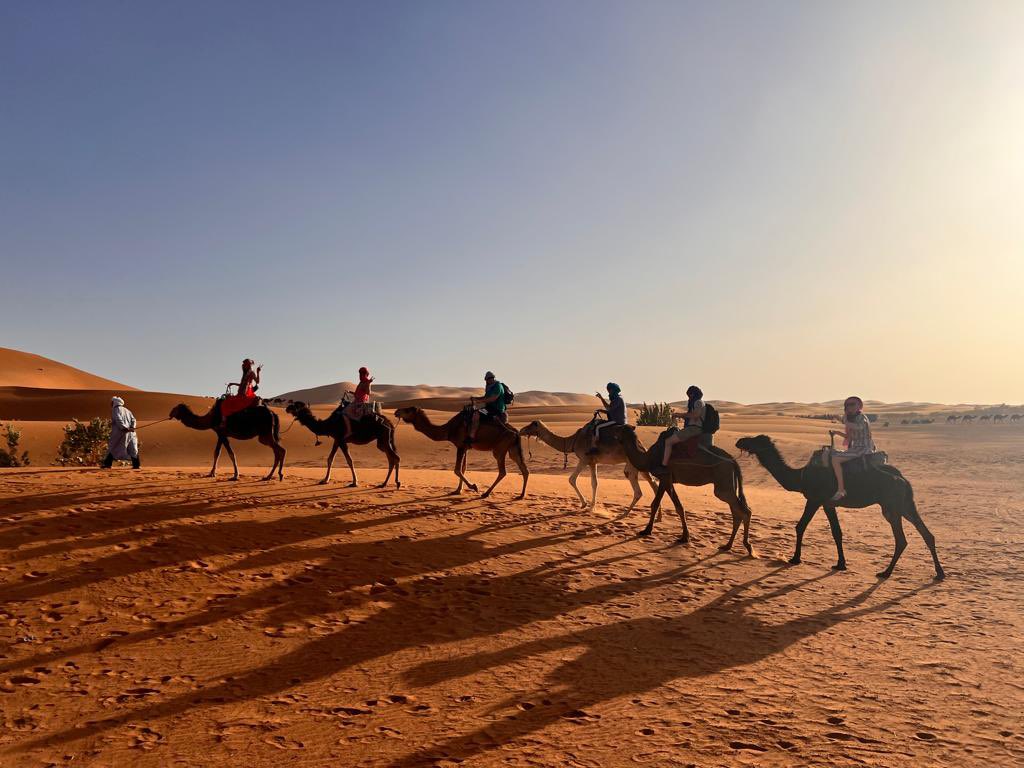 Experience the Ultimate Adventure: Camel Riding through the Breathtaking Merzouga Desert! 🐪🏜️🥰
-
#desert #sahara #morocco #camelride #travel
#cameltrekking #morocco #marrakech #merzouga #visitmorocco #desertcamp #desert #moroccotravel #saharadesert #ergchebbi #moroccotours