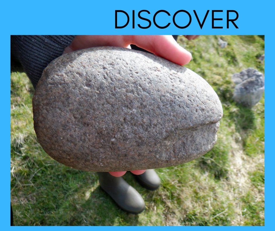 The Blue Group wanted to share this photograph they took today on their #JohnMuirTrustDiscoveryAward This is a hammer stone found at Steinacleit.  What would you discover? #HistoricScotland #JohnMuirTrust #Discover #Archeology #hammerstone #Prehistoric #communitylandtrust