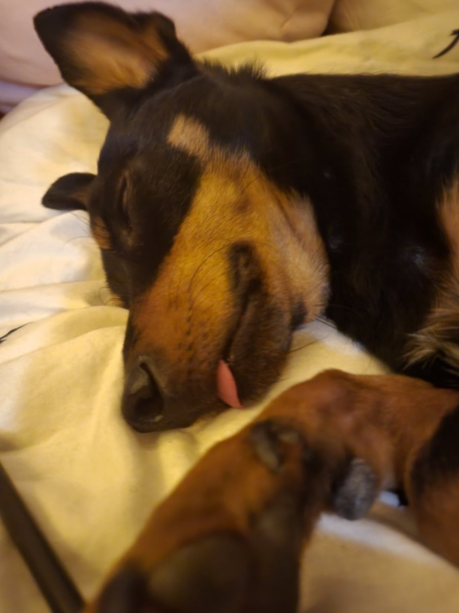 faggjun's tweet image. eh lui là