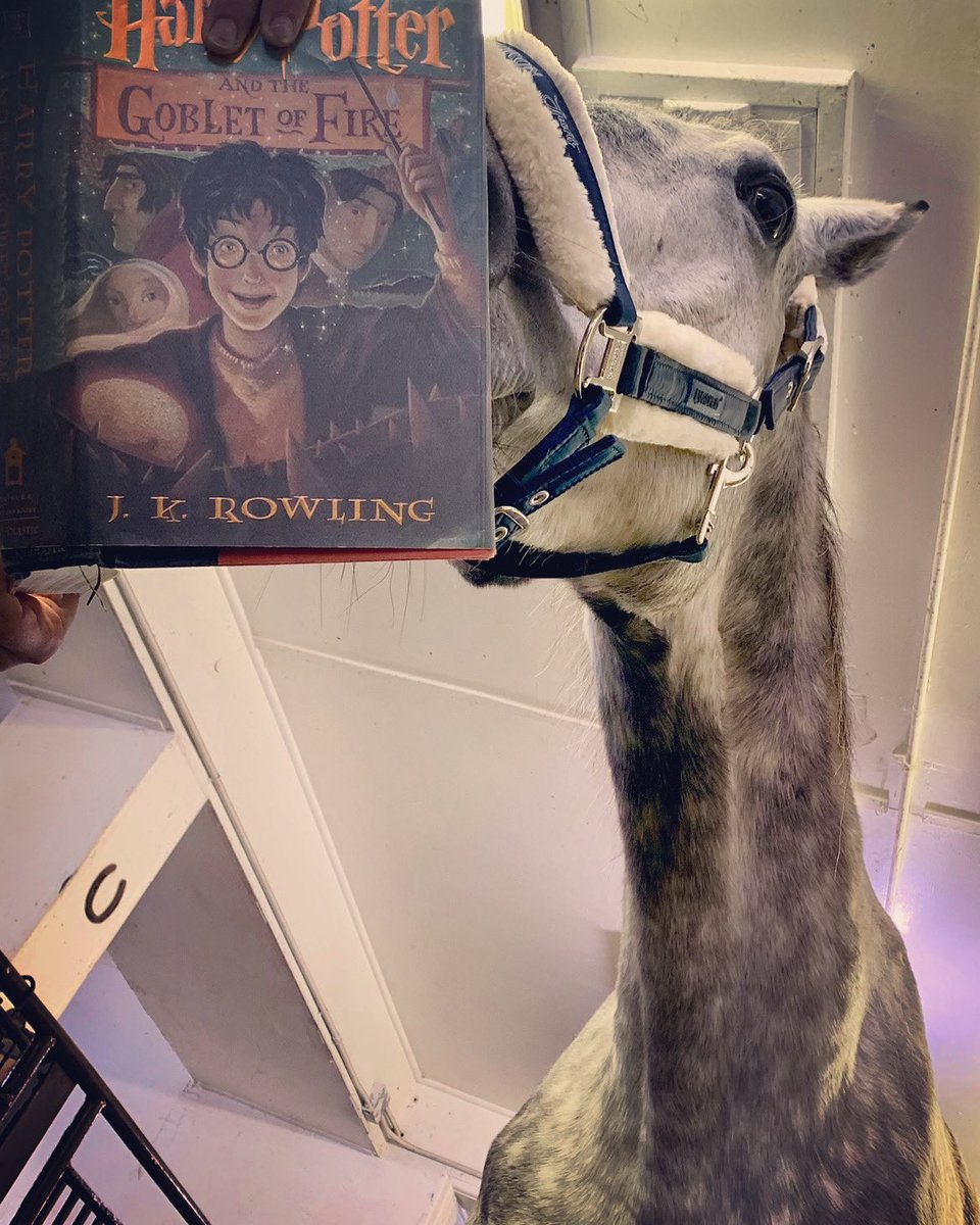 I’ll just leave this here on #InternationalHarryPotterDay. #lumos #harrypotternamesake  🪄