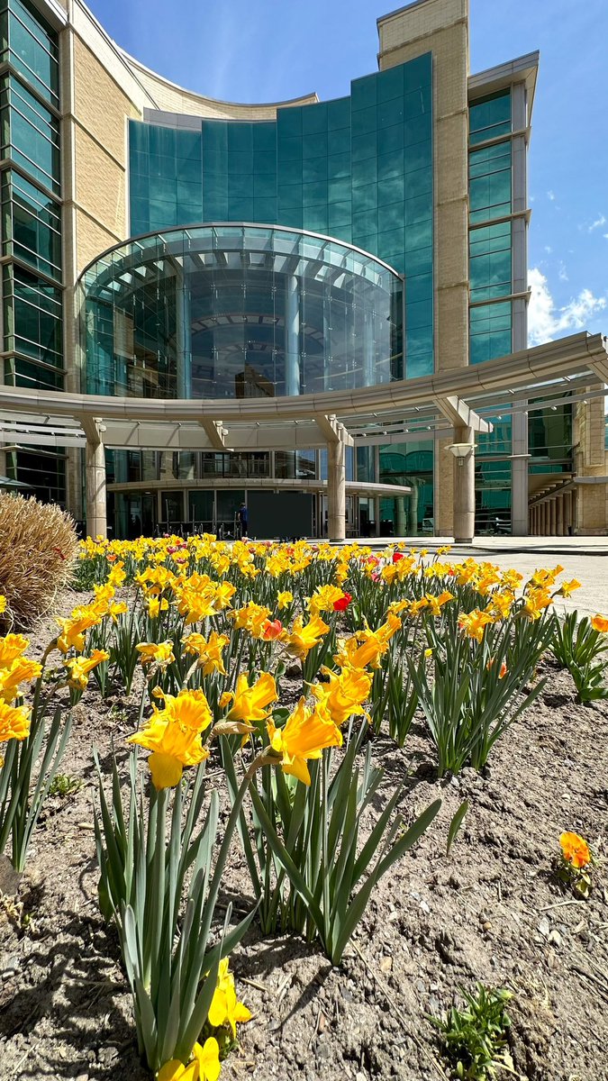 Spring has finally arrived on campus 🌸🌷🌼