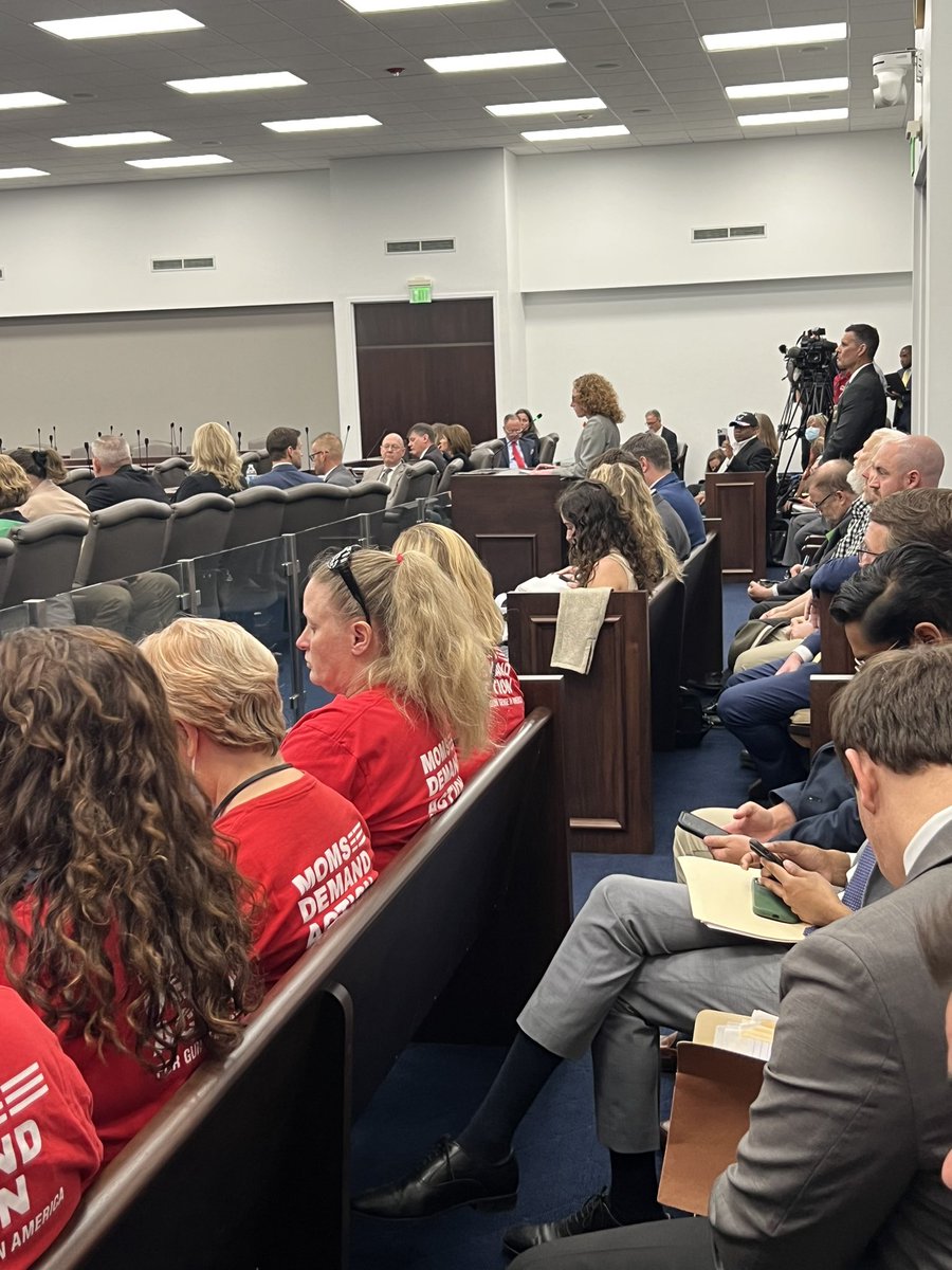patriotdefiant's tweet photo. NC @MomsDemand vols crowded our legislative office to oppose another dangerous permitless carry bill today.

It’s a lot like #FamilyCourt, where you beg a judge for protection from a proven threat only to have your safety undermined.

Domestic violence from our House lawmakers. https://t.co/ssI7euRJdA