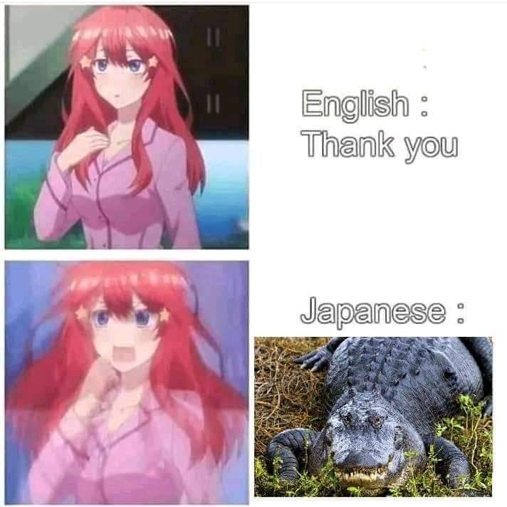 ShitpostGateway (@shitpostgate) on Twitter photo 