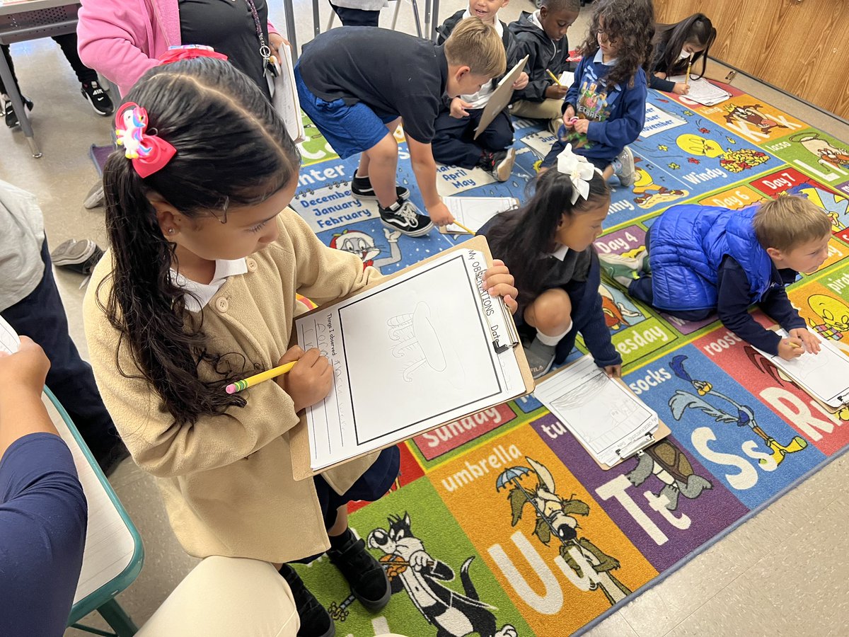 vbrattolitk's tweet photo. Week 1 of our caterpillar ๐ observations! Like scientists, we recorded what our caterpillars look like after having them for 1 week. Our conclusion, the caterpillars have started forming chrysalisโ. Wonder what they will look like next week. ๐ค #iaecspumas https://t.co/Bm0wvC8YR3