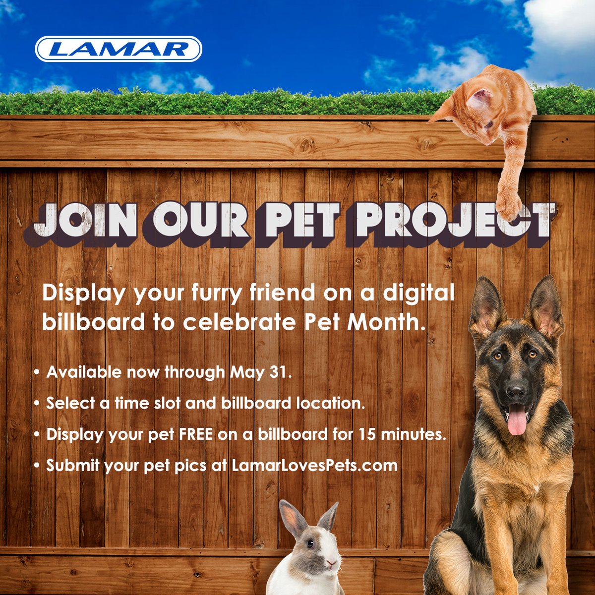 LamarMobile's tweet photo. Honor your pet by displaying their photo on a @LamarAdvertising digital billboard in your area! Visit https://t.co/6ufVC9A9RR today for more information and to complete your free submission! #LamarLovesPets #NationalPetMonth @Shoutable.me https://t.co/bENxPslHVk