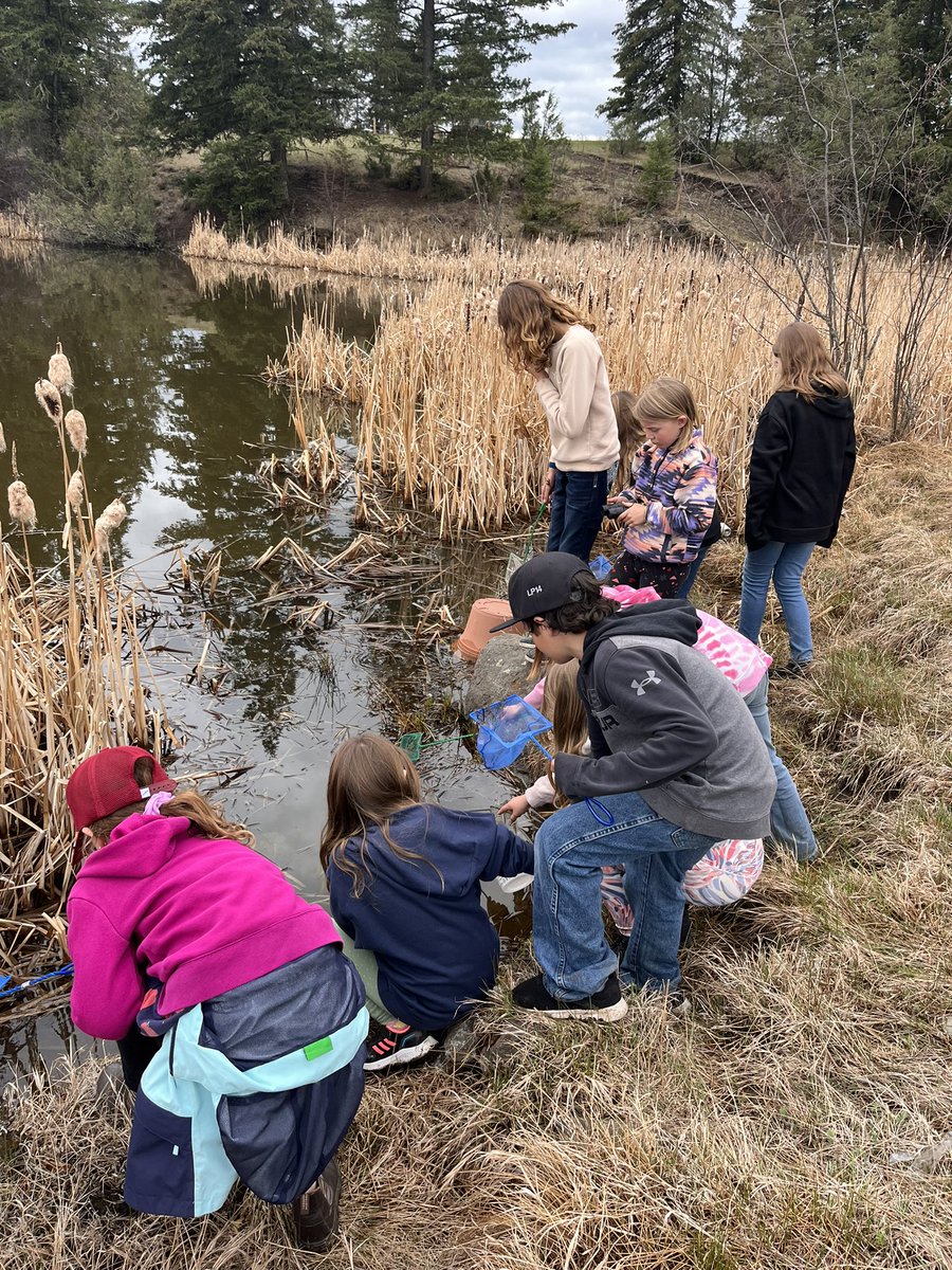 kldavis13's tweet photo. Enjoyed the marvels of spring this week. Thank you to Martin @ScoutNature for sharing his knowledge and passion for the outdoors. Our backpacks from @TheOLStore were great for helping students observe nature up close and from afar! @SD27_CC #tmos https://t.co/Odosl4K9ef