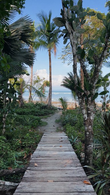 pura vida https://t.co/UOU3GX2Ke0