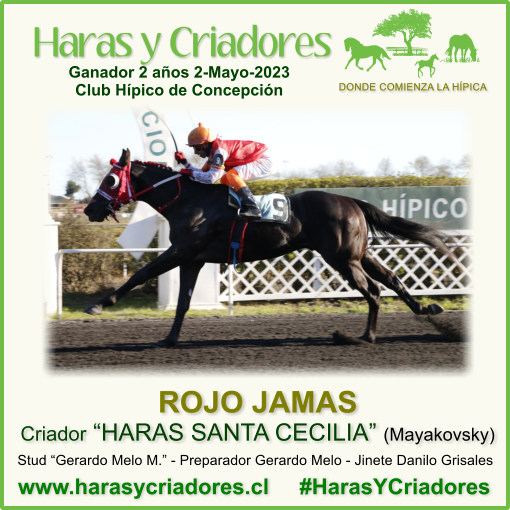 harasycriadores's tweet photo. ROJO JAMAS criado en HARAS SANTA CECILIA (hijo de Mayakovsky) Vencedor Condicional Productos de 2 años No Ganadores 1000m. Club Hípico de Concepción Martes 2 de Mayo de 2023 https://t.co/JCoAH9UfxY #HarasYCriadores #RojoJamas #HarasSantaCecilia #Mayakovsky #ClubHípicoConcepción https://t.co/my6DkQZlvq