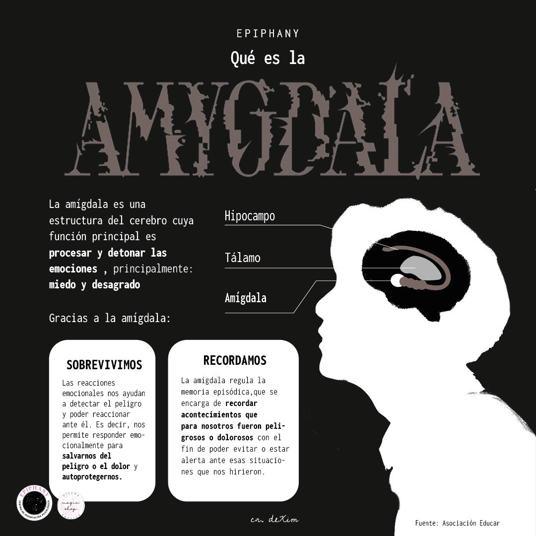 ¿Sabías que nuestra supervivencia depende de la amígdala? 😦

Te explicamos para qué más sirve la amígdala en el siguiente post 👇🏻

#psicologia #psicología #btsarmy #loveyourself #amygdala #AgustD #dday #d_day #amigdala #psicoterapia #saludmental