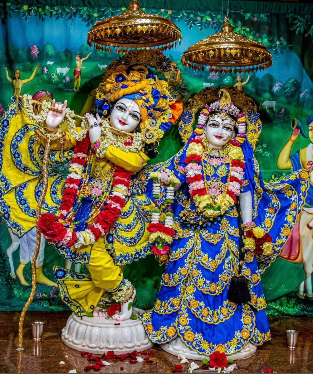 🌺जय श्री राधे 🌺