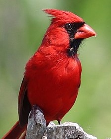 𓅪 Dr Alex Evans 𓅪 tweet media