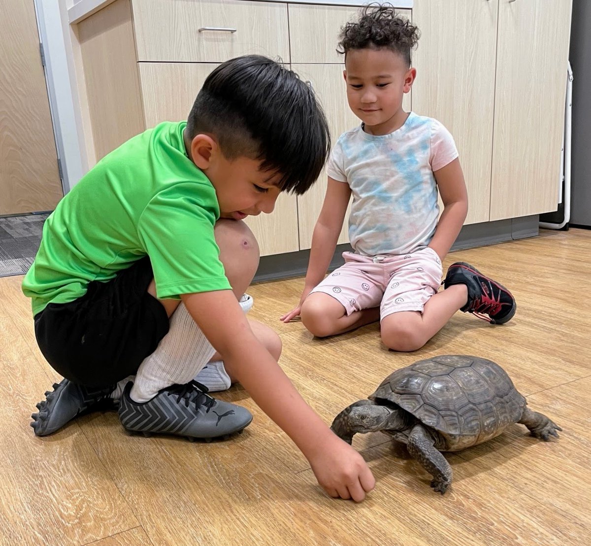 OrmatInc's tweet photo. Ormat hosted “Science is Everywhere” with @EnvirolutionORG on April 29. Such a smart Saturday opening our doors to Northern Nevada and sharing #renewable #geothermal benefits. #STEM #education #engineering #Leroythedeserttortoise https://t.co/sa2HJ7B64q