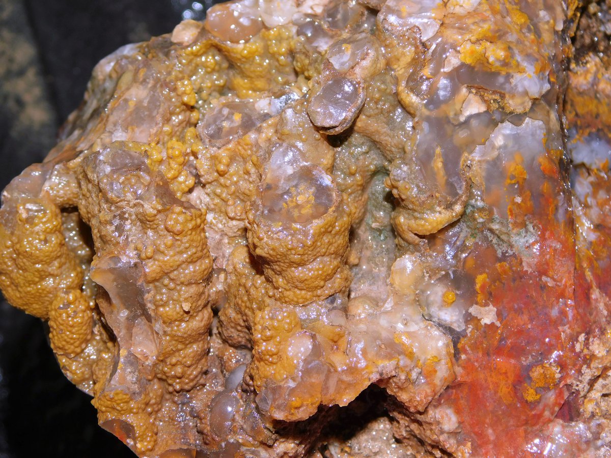 RiverbendLap's tweet image. Auctions Ending Tonight!
ebay.com/str/riverbendl…
#AguaNuevaAgate #GemCoral #GreenTreeAgate #TigerEye #CathedralAgate #JafarJasper #Bloodstone #LajitasAgate
#TubeAgate #orbicularAgate #FilamentAgate #PlumeAgate #botryoidalAgate #MossAgate #BandedAgate #LaceAgate #RiverbendLapidary