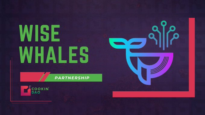 SolanaUnivers's tweet photo. 💠@CookinDao partnership with @WiseWhales
💠#CookinDAO Discord members can view all #WiseWhales bot signals related to the #Solana ecosystem.
🔽INFO
https://t.co/E91RSZfWUj https://t.co/GkK0FC644F