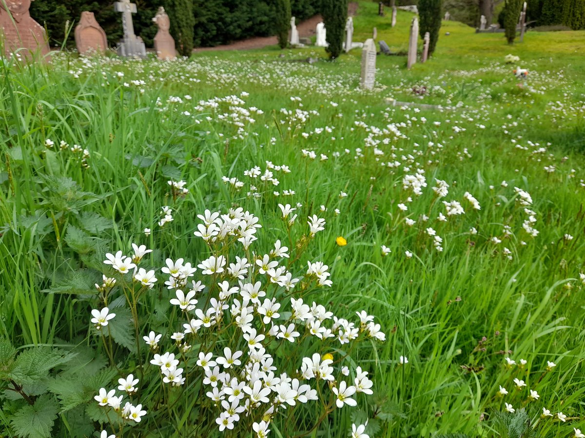 Edward Andrews tweet media