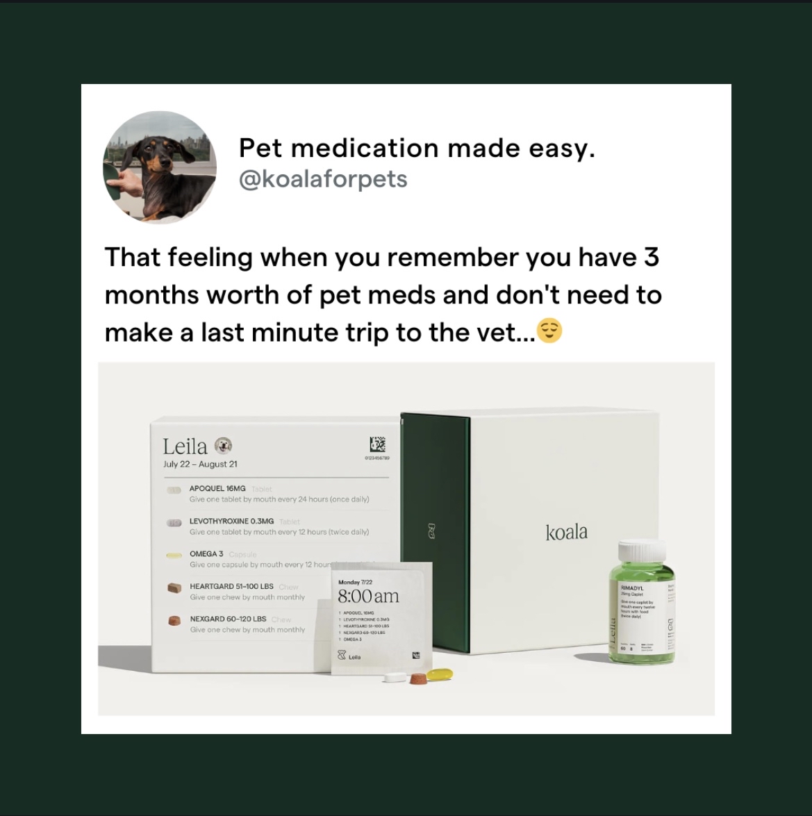 Koala Health tweet media