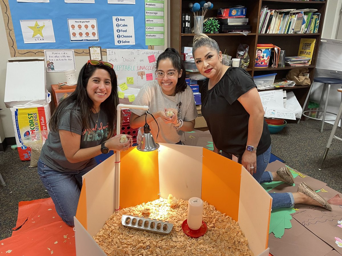 Ritu Gandhi (@ritugan23514369) on Twitter photo <a href="/PISDScienceK_4/">PISD Elementary Science</a> <a href="/RituGan23514369/">Ritu Gandhi</a> “Chicken on the run!” Morales staff is having fun!!! #MoralesScienceLab #MoralesRockets <a href="/PISDScienceK_4/">PISD Elementary Science</a> <a href="/RituGan23514369/">Ritu Gandhi</a> “Chicken on the run!” Morales staff is having fun!!! #MoralesScienceLab #MoralesRockets