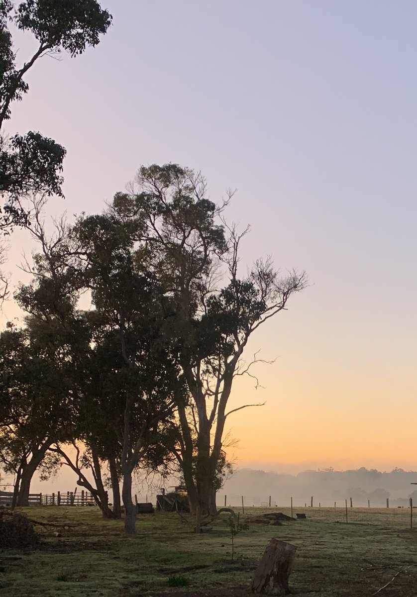 GregSounness's tweet image. Bit soupy this morning