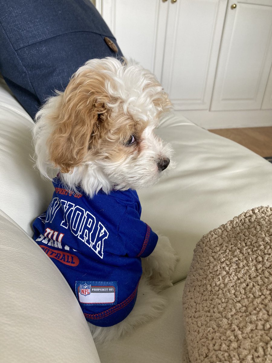 mattwademusic's tweet photo. We got us a Giants fan 🙌🏼🏈 https://t.co/s8MAAvvByD