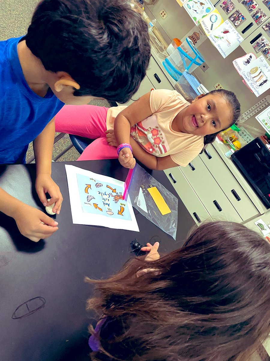 RituGan23514369's tweet photo. @PISDScienceK_4 @RituGan23514369 1st grade scientists exploring life cycle stations 🔁 #MoralesScienceLab #MoralesRockets https://t.co/eQ77n3H6Jh